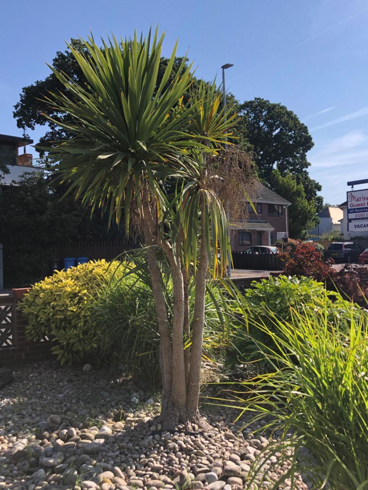 The Mariners Guest House Poole Exteriör bild